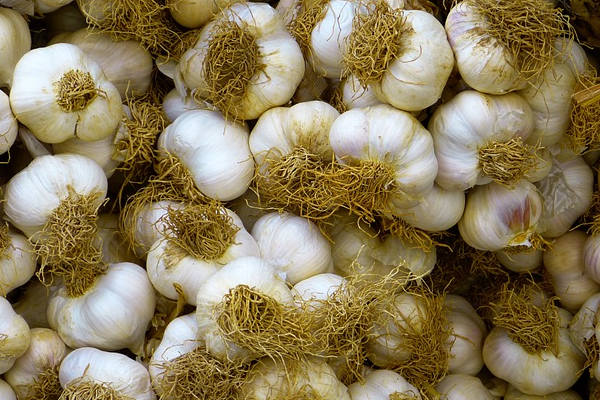 The 10 Benefits Of Garlic