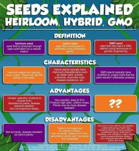 Hybrid List